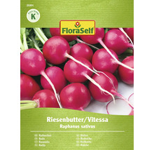 FloraSelf Riesengrosse Butter Radieschen Samenpackung