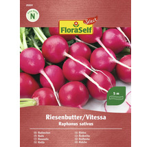 FloraSelf Radieschen Riesenbutter/Vitessa Samenpackung
