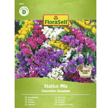 Verpackung Statice Mix Blumensamen von FloraSelf