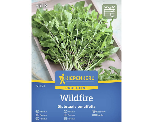Kiepenkerl Wildfire Rucola Samenpackung