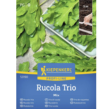 Kiepenkerl Rucola Trio Samenpackung