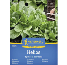 Kiepenkerl Profi-Line Helios Spinat Samenpackung