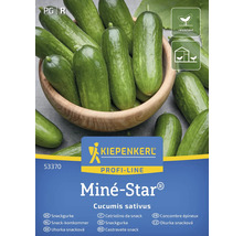 Kiepenkerl Miné-Star Snackgurke Samenpackung