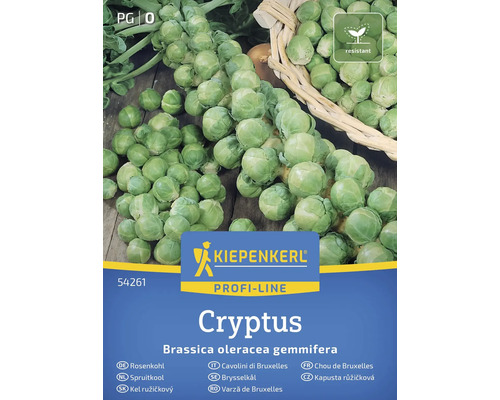 Kiepenkerl Cryptus Rosenkohl-Samen