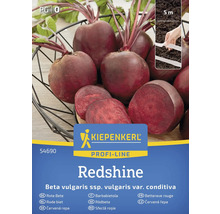 Kiepenkerl Redshine Rote Bete Samen