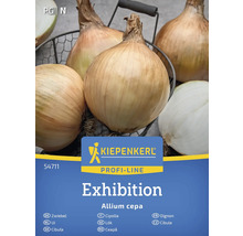 Kiepenkerl Ausstellung Zwiebeln im Korb