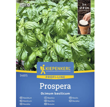 Kiepenkerl Prospera Basilikum Pflanzenpackung mit fünf Pflanzen
