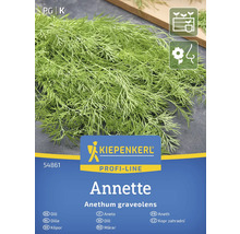 Dillsamen der Sorte Annette