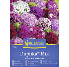 Kiepenkerl Duplika Mix Bartnelke Samenpackung