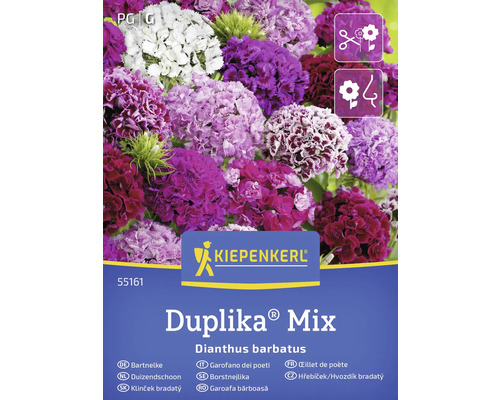 Kiepenkerl Duplika Mix Bartnelke Samenpackung