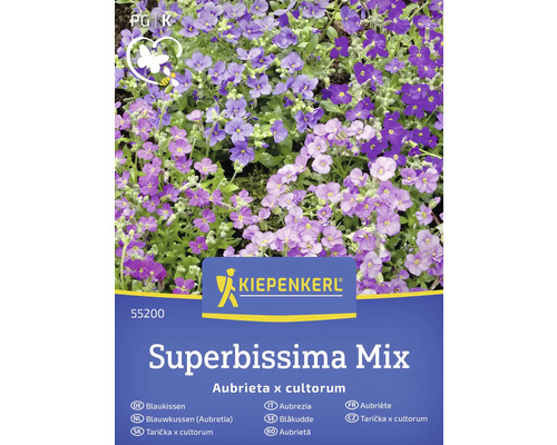 Blaukissen Aubrieta x cultorum Superbissima Mix Samenpackung