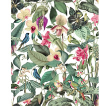 Muster mit tropischen Blättern, Orchideen und Vögeln