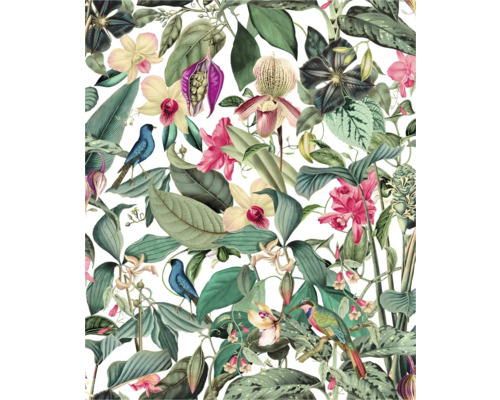 Muster mit tropischen Blättern, Orchideen und Vögeln