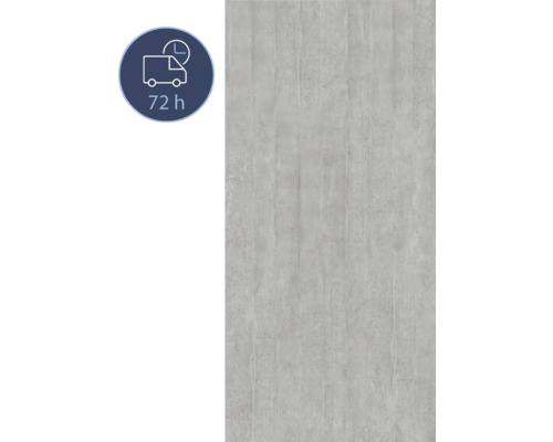 Duschrückwand BREUER Express Q72 Betonoptik 210 x 100 cm 1413509000202 Graue Wandfliese mit Betonoptik und Lieferzeitangabe 72 Stunden