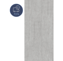 Graue Wandfliese mit Betonoptik und 72 Stunden Lieferzeit Symbol.