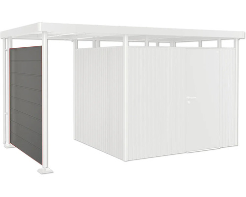 Seitenwand Biohort für Seitendach zu Gartenhaus HighLine H3 quarzgrau-metallic Metallcarport mit Seitenwand und Geräteraum
