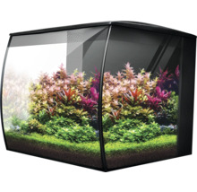 Aquarium mit Pflanzen