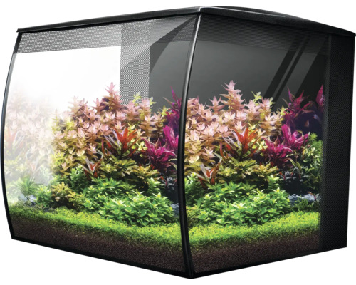 Aquarium mit Pflanzen