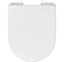 Toilettendeckel aus Kunststoff