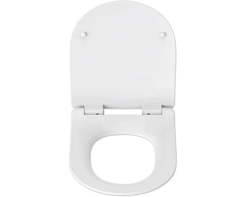 Toilettendeckel aus Kunststoff