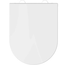 Toilettendeckel aus Kunststoff