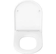 Toilettendeckel aus Kunststoff