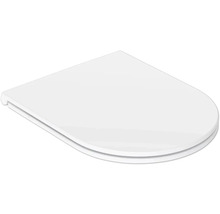 Toilettensitz in D-Form