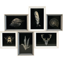 Wanddekoration mit Motiven aus der Natur: Blatt, Feder, Schneckenhaus, Biene, Farn, Hirschgeweih