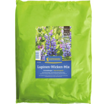Sack mit Lupinen Wicken Mix Gründünger von Kiepenkerl, geeignet für circa 100 Quadratmeter.