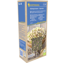 Kiepenkerl Keimsprossen pikante Mischung Packung