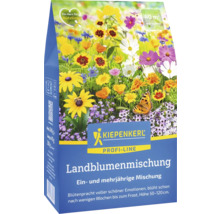 KIEPENKERL Landblumenmischung für 40 Quadratmeter
