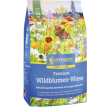 Kiepenkerl Premium Wildblumen-Wiese für mehrjährige Blumen mit langem Blütenflor