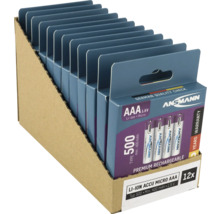 Zwölf Ansmann AAA Lithium-Ionen Akkus in einer Pappverpackung