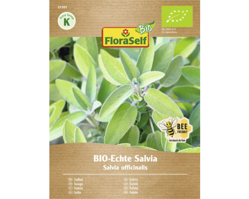 BIO Echte Salvia Pflanze im Topf