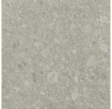 Graue Feinsteinzeugfliese mit Steinoptik