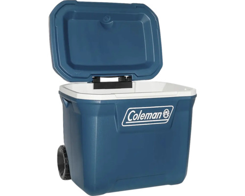 Kühlbox mit Rädern und offenem Deckel