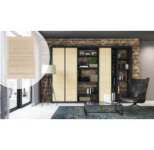 Szene eines Wohnzimmers mit einem großen Bücherregal mit Schiebetüren und einem separaten Schiebetürenelement