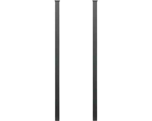 Zwei Zaunpfosten aus Metall