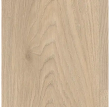 Nahaufnahme einer hellen Holzoberfläche mit Maserung