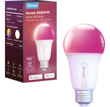 Govee RGBWW smarte LED-Lampe mit E27-Sockel und 800 Lumen in Verpackung und Nahaufnahme