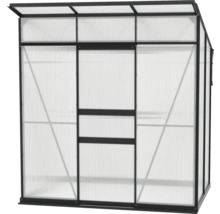 Gewächshaus mit transparenten Wänden und dunklem Rahmen