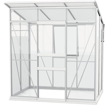 Gewächshaus mit Schiebetür und transparenten Scheiben