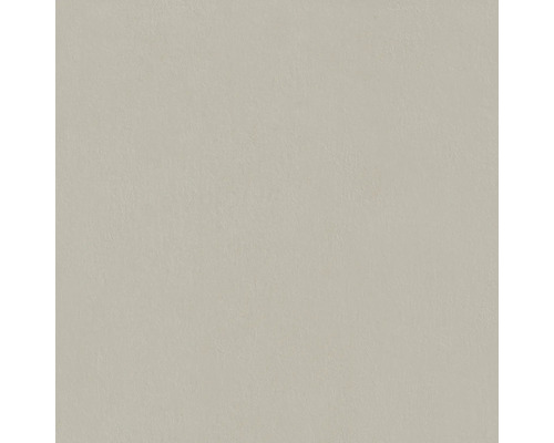 Helle Putzstruktur für Innen- und Außenbereiche