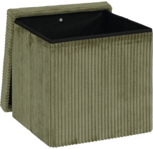 Aufbewahrungsbox mit Cordbezug und abnehmbarem Deckel