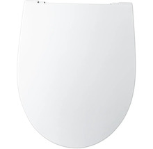 Toilettendeckel aus Kunststoff