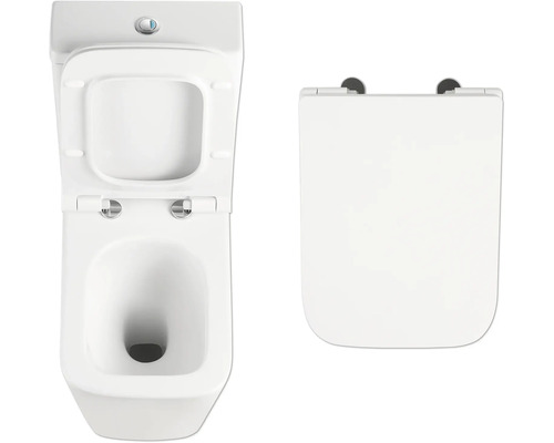 Auf der Abbildung sind ein Tiefspülklosett und ein Toilettendeckel zu sehen.