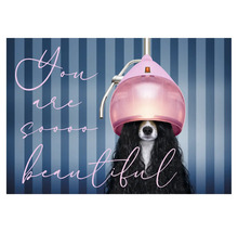 Hund mit Trockenhaube und dem Schriftzug Du bist so schön