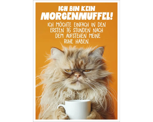 Dekoratives Poster mit dem Spruch Ich bin kein Morgenmuffel und einer mürrischen Katze mit Kaffeetasse