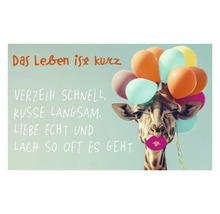 Dekoratives Wandbild mit Giraffenmotiv und der Aufschrift 'Das Leben ist kurz.'