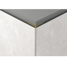 Ecke einer Wand mit Fliesenschiene